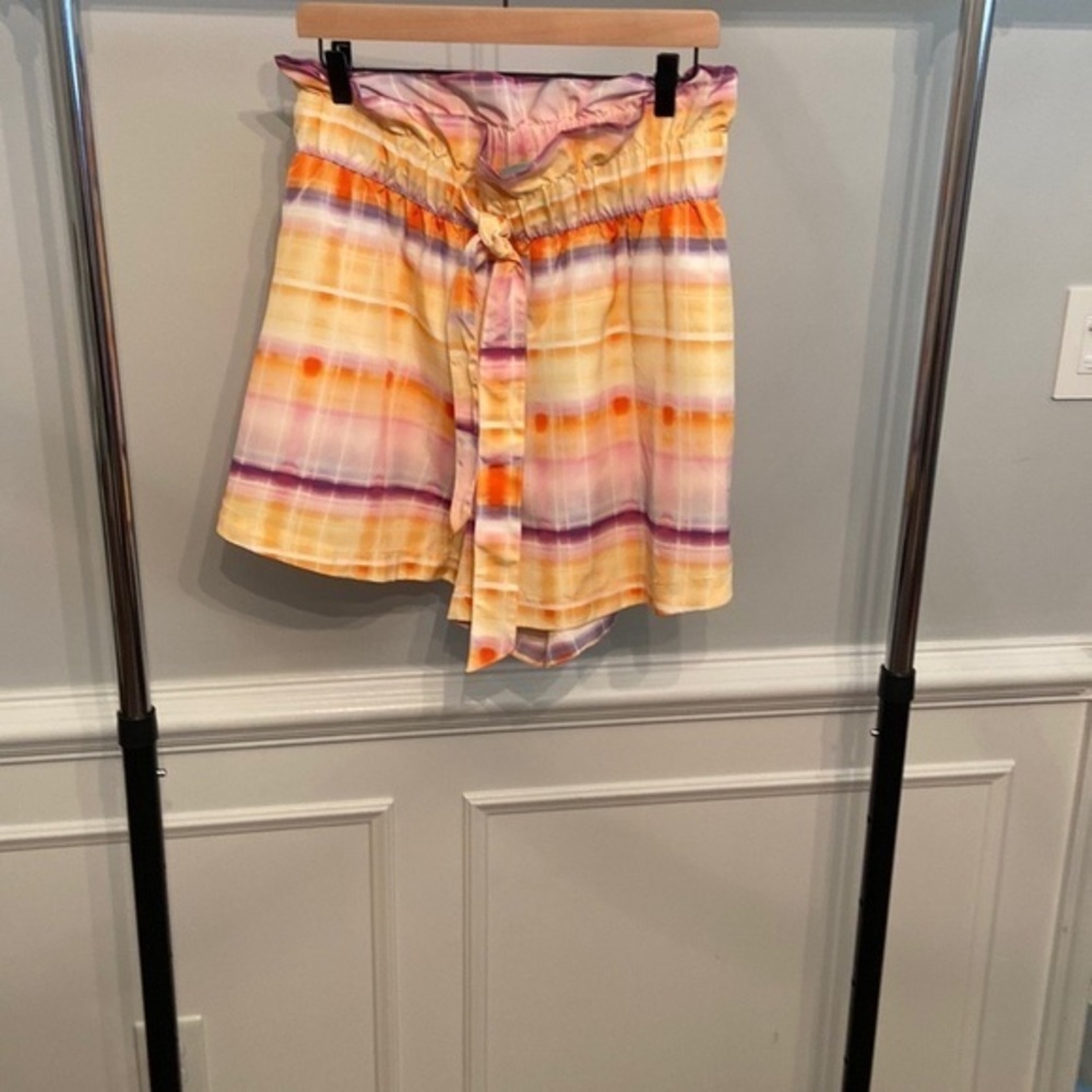 Future Collective Plus Size Shorts